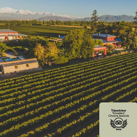 Enlace Wine House Lujan de Cuyo Eksteriør billede