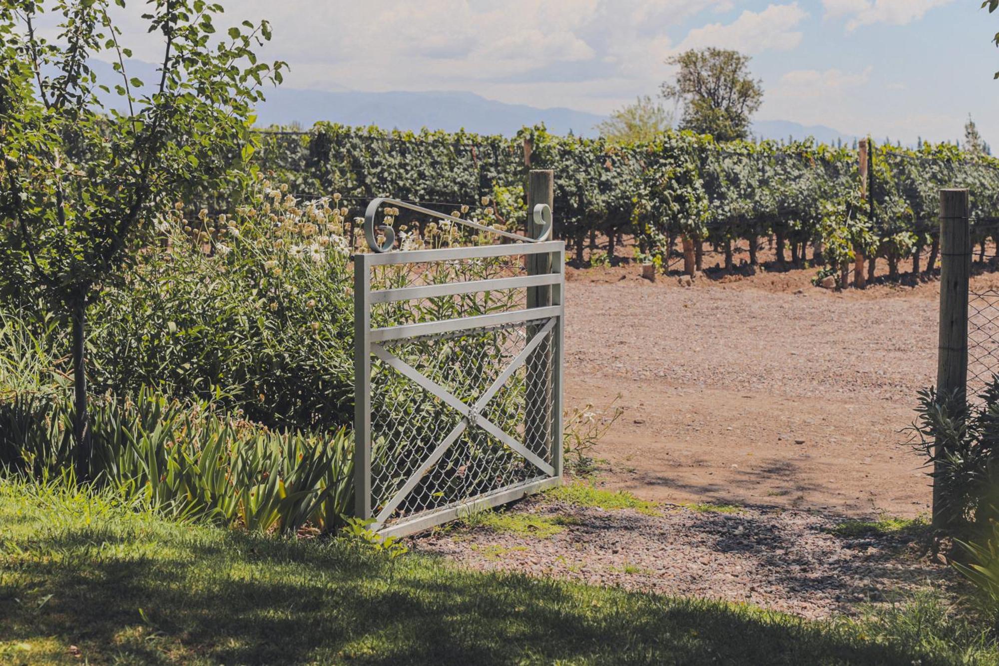 Enlace Wine House Lujan de Cuyo Eksteriør billede